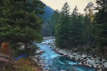 nature trip in Kasol