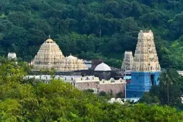 Tirupati pilgrimage experience