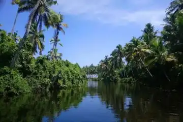 water attractions in Idukki